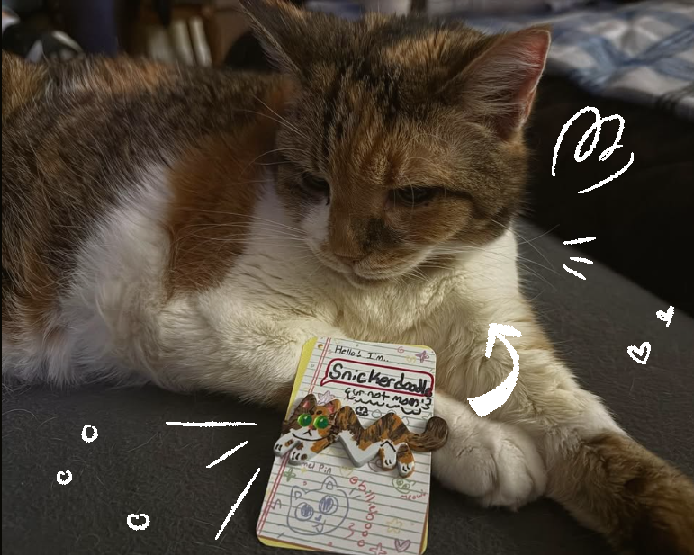 Custom Cat Pin